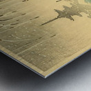 suchiya Koitsu 30 Metal print