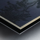 suchiya Koitsu 31 Metal print