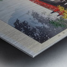 suchiya Koitsu 33 Metal print