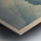 suchiya Koitsu 34 Metal print