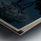 suchiya Koitsu 35 Metal print