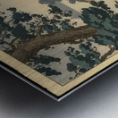 suchiya Koitsu 37 Metal print