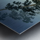 suchiya Koitsu 38 Metal print