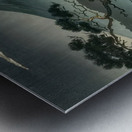 suchiya Koitsu 39 Metal print