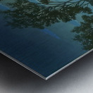 suchiya Koitsu 40 Metal print