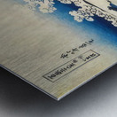 suchiya Koitsu 42 Metal print