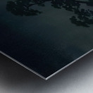 suchiya Koitsu 44 Metal print