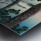 suchiya Koitsu 45 Metal print