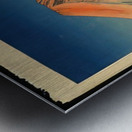 suchiya Koitsu 2 Metal print