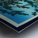 suchiya Koitsu 5 Metal print