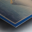 suchiya Koitsu 9 Metal print