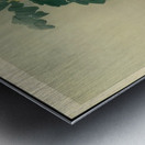 suchiya Koitsu 13 Metal print