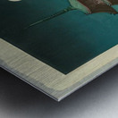 suchiya Koitsu 16 Metal print