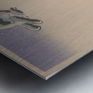 suchiya Koitsu 19 Metal print