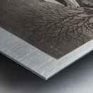 suchiya Koitsu 21 Metal print