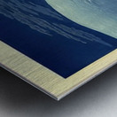 suchiya Koitsu 22 Metal print