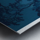 suchiya Koitsu 23 Metal print