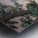 suchiya Koitsu 24 Metal print