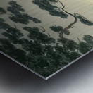 suchiya Koitsu 28 Metal print