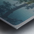 suchiya Koitsu 29 Metal print