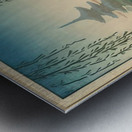 suchiya Koitsu 30 Metal print