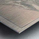 suchiya Koitsu 31 Metal print