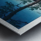 suchiya Koitsu 33 Metal print