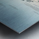 suchiya Koitsu 36 Metal print