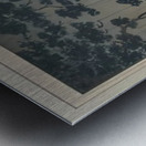 suchiya Koitsu 37 Metal print