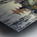 suchiya Koitsu 38 Metal print