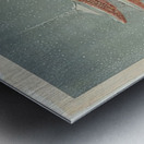 suchiya Koitsu 41 Metal print