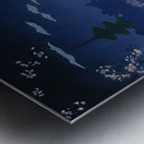 suchiya Koitsu 43 Metal print