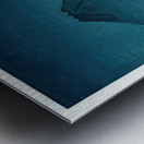 suchiya Koitsu 44 Metal print