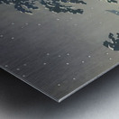 suchiya Koitsu 7 Metal print