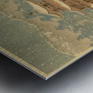 suchiya Koitsu 12 Metal print