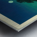 suchiya Koitsu 13 Metal print