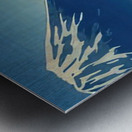 suchiya Koitsu 14 Metal print