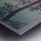 suchiya Koitsu 16 Metal print