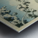 suchiya Koitsu 17 Metal print