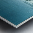 suchiya Koitsu 18 Metal print