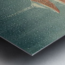 suchiya Koitsu 19 Metal print