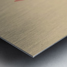 suchiya Koitsu 20 Metal print