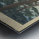 suchiya Koitsu 21 Metal print