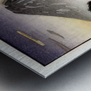 suchiya Koitsu 22 Metal print