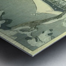 suchiya Koitsu 23 Metal print