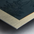 suchiya Koitsu 25 Metal print