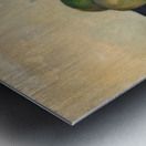 Paul Cézanne 13 Metal print