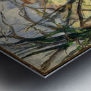 Paul Cézanne 26 Metal print