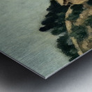 Paul Cézanne 33 Metal print