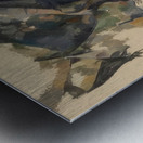 Paul Cézanne 36 Metal print